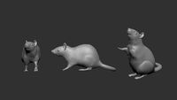 Rats - Image 1