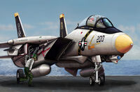 F-14A Tomcat - Image 1