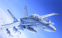 F/A-18A/C/D Aggressor VFC-12 & VFA-204 Kinetic 48088