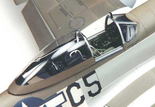North American P-51D Mustang 8th AF Tamiya 61040