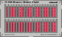 Remove Before Flight - Image 1