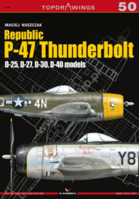 Republic P-47 Thunderbolt - Image 1
