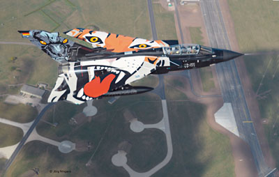 Revell 1:72 04660 Tornado Black Pantera