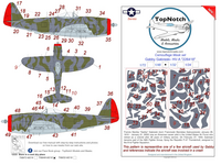 Republic P-47 D Thunderbolt Bubble Top Gabreski HV-A 226418 - Camouflage Pattern Paint Masks - Image 1