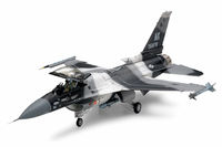 F-16C/N Aggressor/Adversary