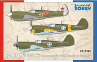 P-40M Warhawk Involuntarily From Russia To Finland