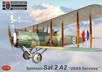 Salmson Sal.2 A2 "USAS Services" - Image 1