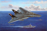F-14B Tomcat 'VF-103 Jolly Rogers Last Flight 2004' Hasegawa