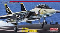 US Navy F-14A Fighter Aircraft (Tomcat)