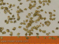 Birch - Autumn Leaves, Extra Colours - Image 1