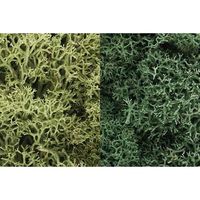 Zarola - Light Green Mix Lichen (1