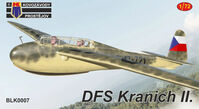 DSF Kranich II Glider