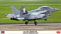 EA-18G Growler VAQ-134 Garudas 2024