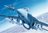 F/A-18E SUPER HORNET 