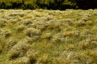 Fallow Field - Late Summer MINIPACK - Image 1