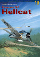 10 - Grumman F6F Hellcat (Polish And English, No Decals) - Image 1