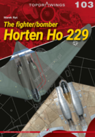 The fighter/bomber Horten Ho 229 - Image 1