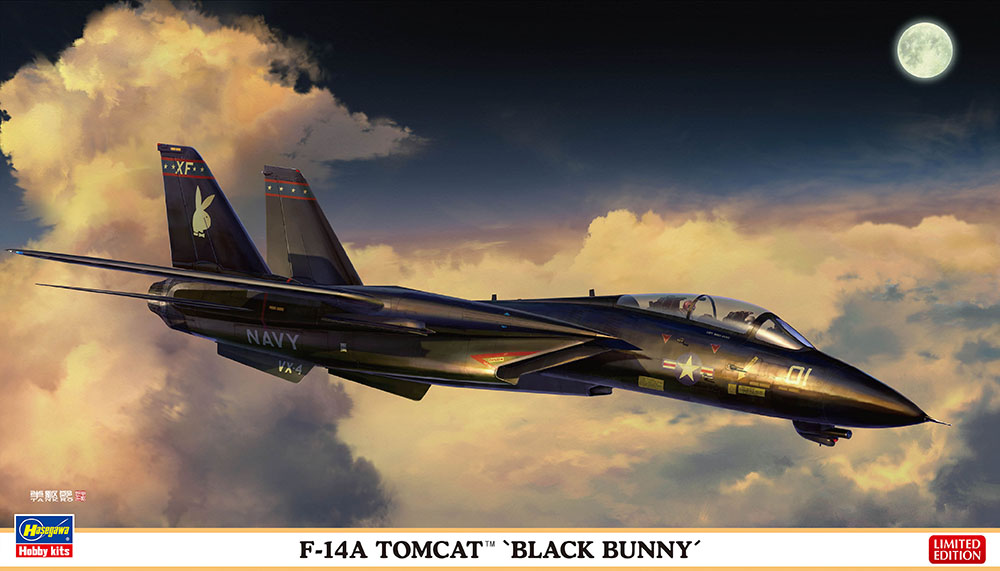F-14A Tomcat 'Black Bunny' Hasegawa 02377