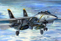 F-14B Tomcat 'VF-103 Jolly Rogers Last Flight 2004' Hasegawa F-14B Tomcat 'VF-103 Jolly Rogers Last Flight 2004' Hasegawa
