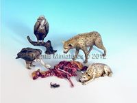 Animals - set 13