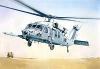 MH-60K Blackhawk SOA - Image 1