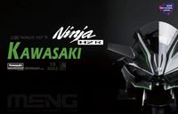Kawasaki Ninja H2™R (Pre-colored Edition)