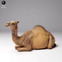 Bactrian Camel (2pcs) CMK F72399