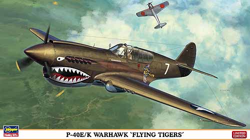 Amazon.com: Hasegawa 1/48 P-40E Warhawk : Arts, Crafts & Sewing