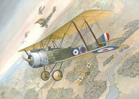 Sopwith 11/2 Strutte