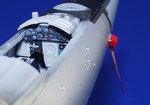 49009_02.jpg